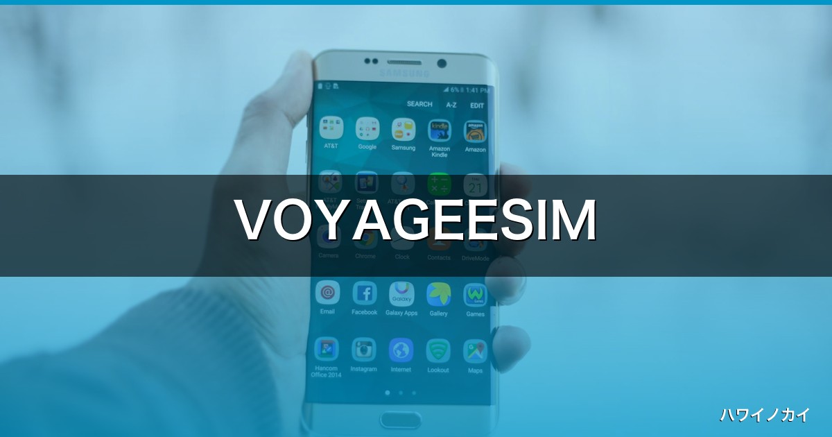 VOYAGEESIM【2026年】評判・料金・使い方完全ガイド！海外で損しない3つの秘訣