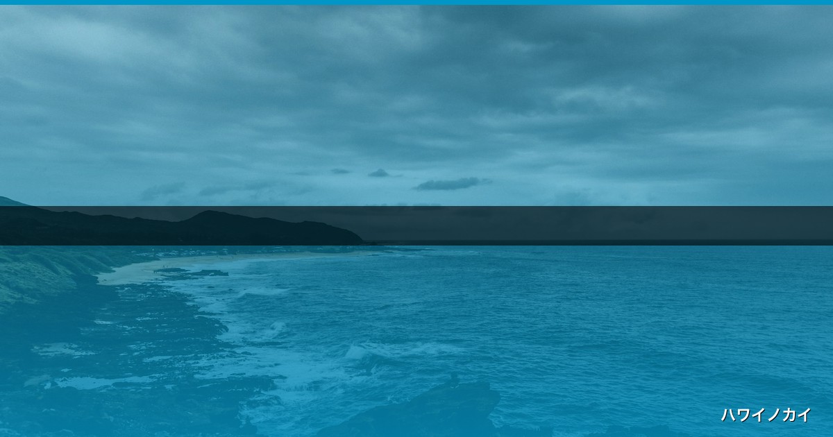 【2026年版】ハワイのバス乗り方完全ガイド！料金・HOLOカード・ルートを5つのコツで迷わない！