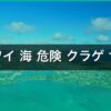 ハワイ 海 危険 クラゲ サメ｜ハワイ旅行完全ガイド