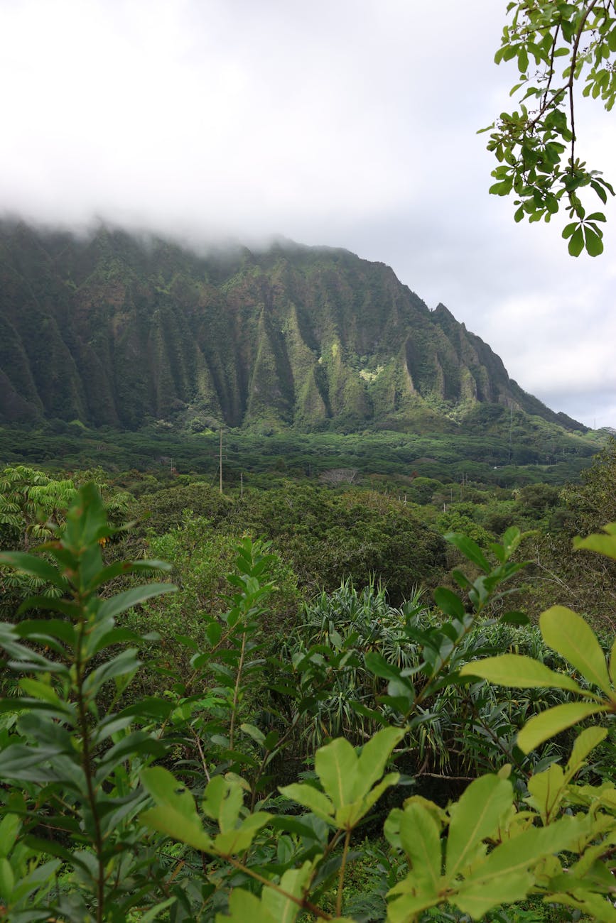 オプショナルツアーガイドへのチップ相場