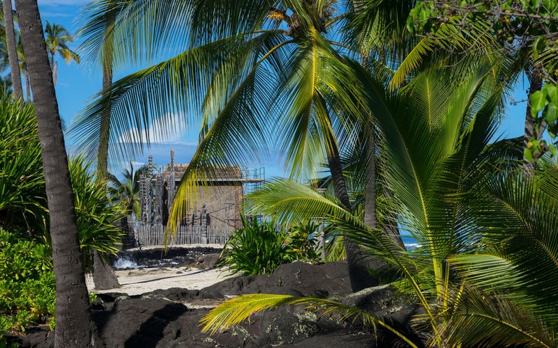 hawaii luau show comparison