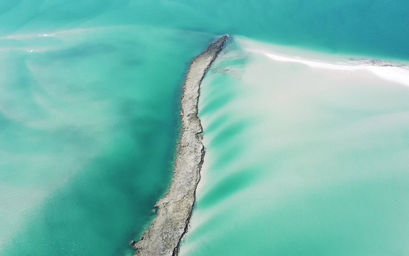 hawaii kaneohe sandbar tour comparison