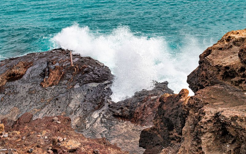 hawaii hanauma bay reservation guide
